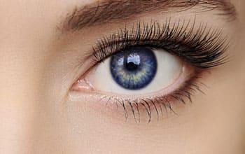 Blepharoplasty up and down