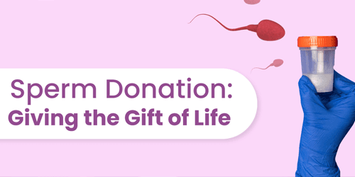 IVF with sperm donation