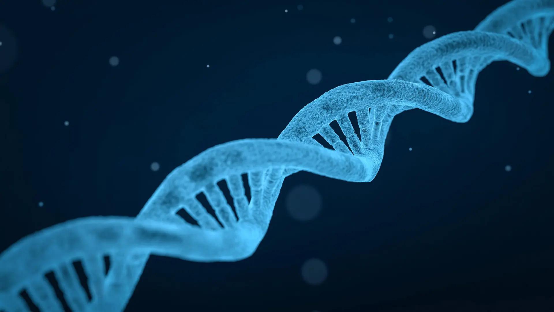 Stem Cell Treatment Prices